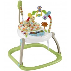 Fisher-Price Кресло прыгунки Джунгли CHN38 Fisher-Price Кресло прыгунки Джунгли CHN38 в интернет-магазине babypremium.com.ua