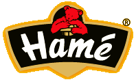 Логотип Hame